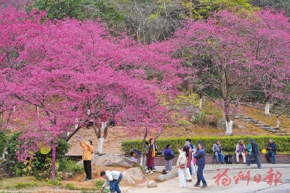 ����ֲ��԰������ӣ��