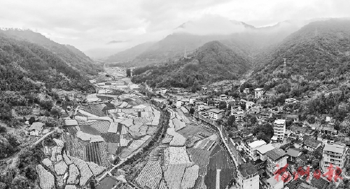 ����ӳ��ꡡɽҰ��ɫ��