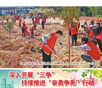 ��ֲ�������̻�����