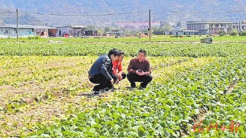 �ӿ���Է���֪�����