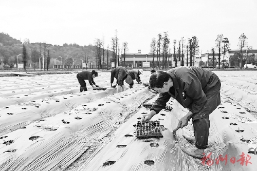 ��ҵ�ں�����塡��Ԫ��չ���¾�