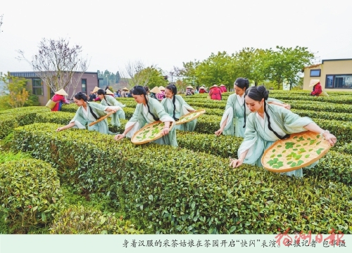 ��̩�ٰ촺�迪�ɽڻ