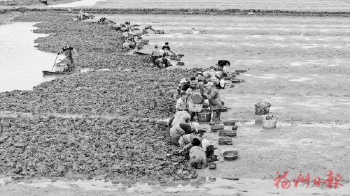 ����Ѱ�ڡ��ʡ�������������