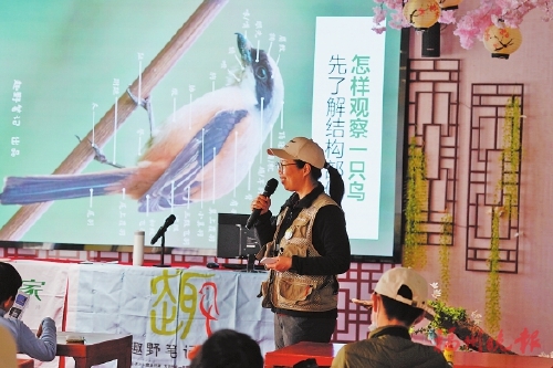 小小口袋书收录136种福州常见鸟