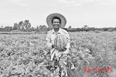 一粒西瓜的“两岸情”