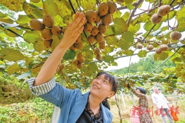 闽侯雪峰山城邀您“趣”村游