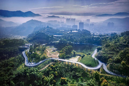 罗宁古官道：千年古道　驿路芳华