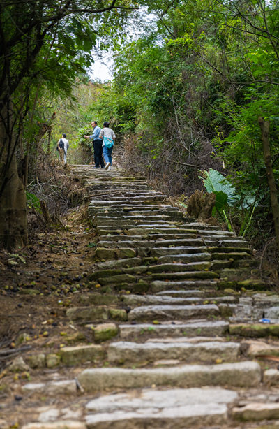 罗宁古官道：千年古道　驿路芳华