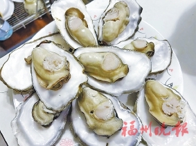 马祖“海中牛奶”上市！
