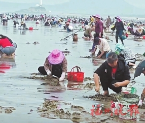 何时何地宜赶海　看看这份攻略