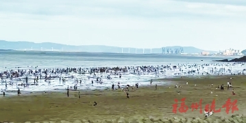 何时何地宜赶海　看看这份攻略