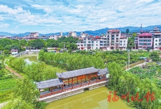 连江洪塘村的“禾下乘凉梦”