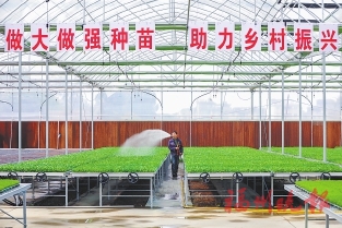 马尾：一马当先立潮头赓续奋斗谱新篇