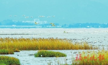 福州获评“国际湿地城市”