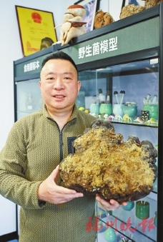 曾辉：筛选优质菌种助农增收
