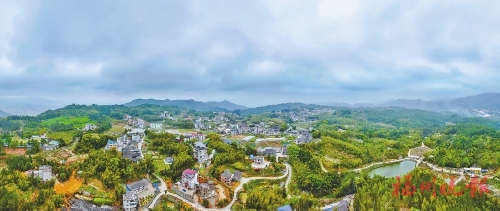 叶洋村：绘就“山水画”　书写“振兴篇”