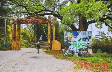 叶洋村：绘就“山水画”　书写“振兴篇”