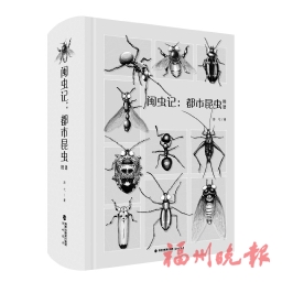 ��ʶ���ǵ������ھ�