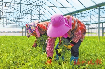 ������ˮ���Ĳ�����