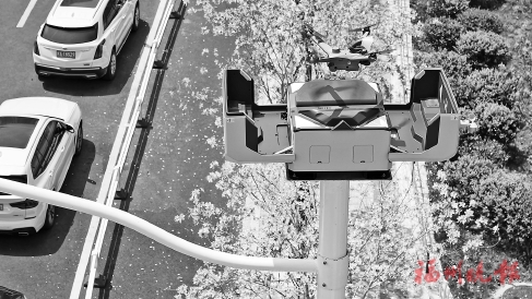 �ǻ۵Ƹ������á��˶��Ͻ������������