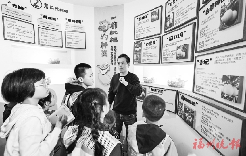 “枇杷之乡”研学行　