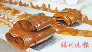全国首批无边海带安家福州