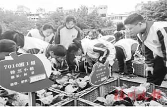 ���ݵڰ���ѧ��������ɽ����������