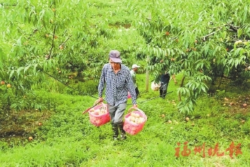 ��������500Ķ��԰����