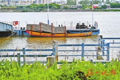 �����ɴ������¡�������質����