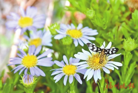 �����涫�����������������硱