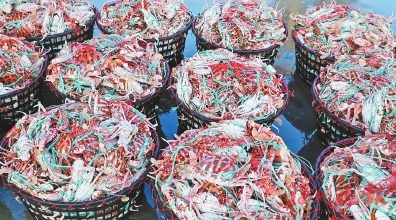 ���ݡ������һ���������ϰ���