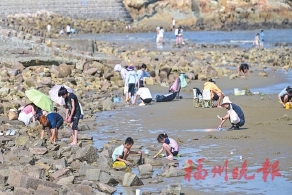 ��ʮ����ʱ��Ư�������¹�����д��ƪ