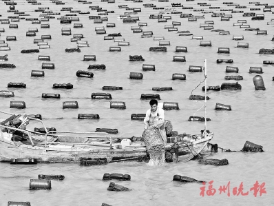 �������߻������������﷫����ƪ