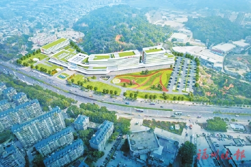 �������Ҽ���ҽҩ�ش���Ŀ��ظ���