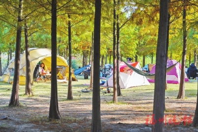 ������ɫ�ҵס����ƽ���̬����