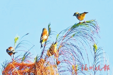 �˱������ߡ���·������