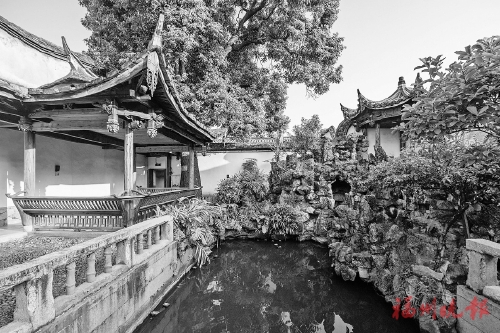 �����Ƿ������ҵ�Ů��