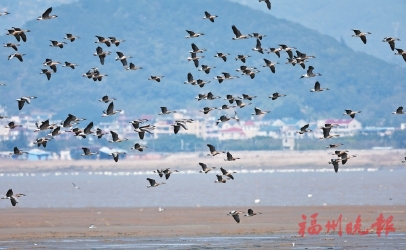 �����ӿ�ʪ��ӭ����ǧ����ʹ��