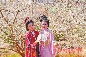 ��̩����÷֮�硡�����ɡ�ѩ��