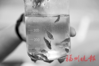 3��β�������������������ɹ�