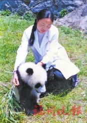 һ������Ƭ��һ�ζι�����Ե