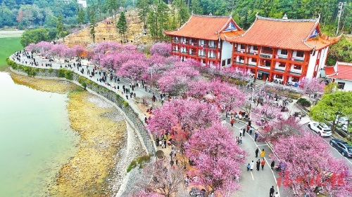 ����������÷������ʢ����