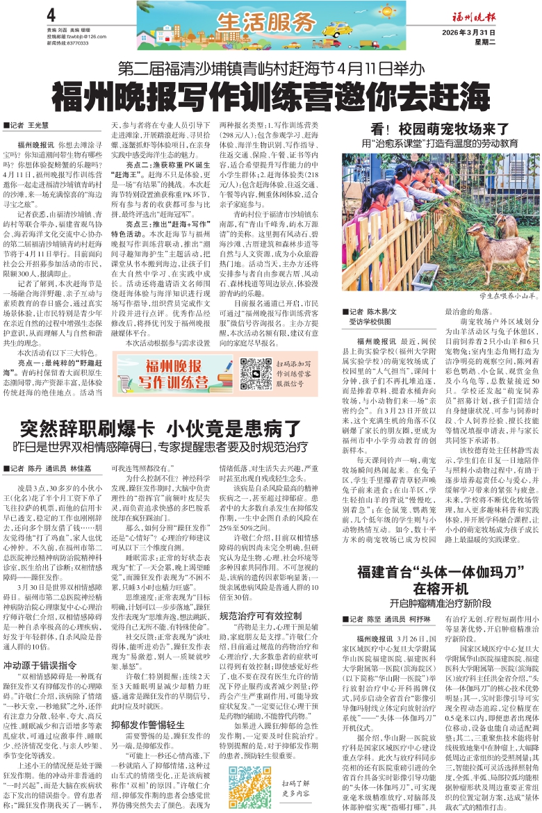 �������������� ��Σ���A04�棺������������� ���ڣ�20260331