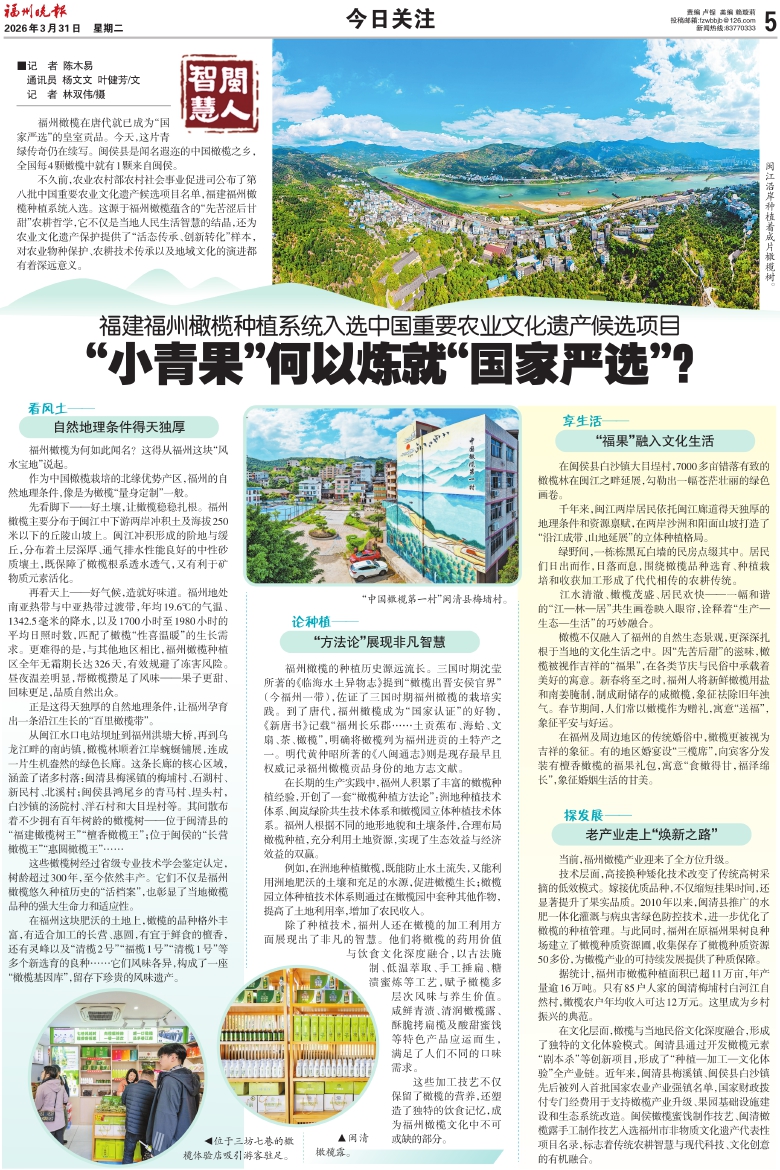 �������������� ��Σ���A05�棺���������չ�ע ���ڣ�20260331