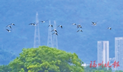 ����糬ģ����������