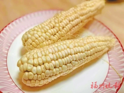 Ŵ���������ǵġ��������֡���