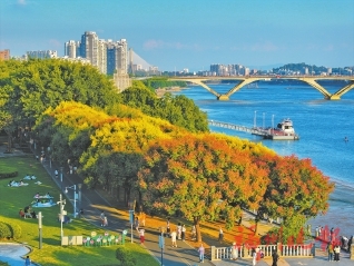 ˪�����쾲���ﻨ������