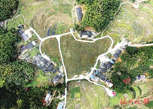 御医故里“鹿力”同兴