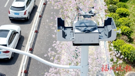 �ǻ۵Ƹ������á��˶��Ͻ������������