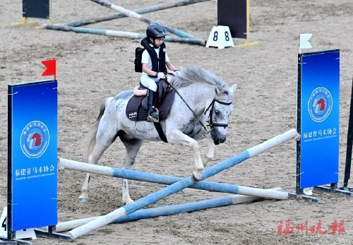 ����20֧�������������鸣�ݾ���